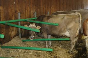 k-Betrieb Huber Vater Vigor